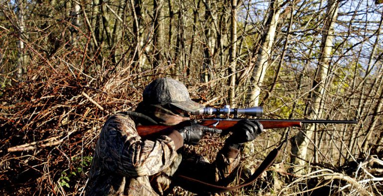hunting, rifle, weapons-3781222.jpg